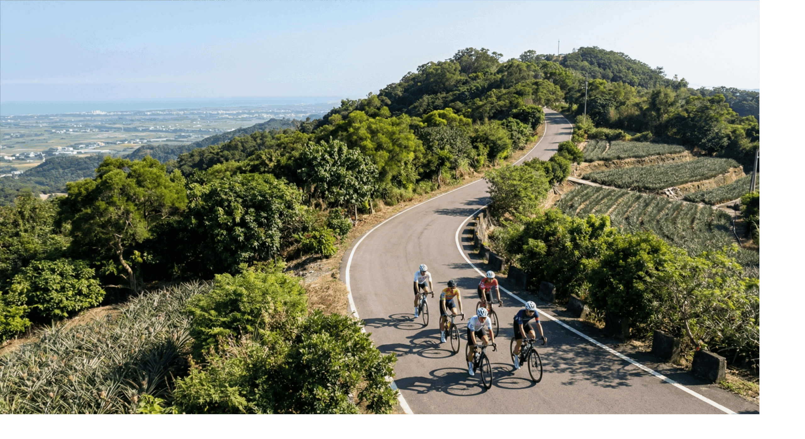 彰化南投單車路線大比拼：該選經典舊愛還是刺激新歡？新手挑戰路線全攻略！南投與彰化的自行車路線介紹